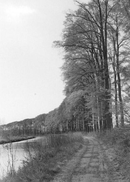 canal3.jpg