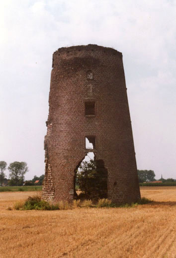 gras1.jpg