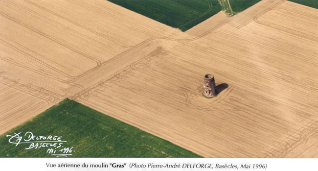 gras2.jpg