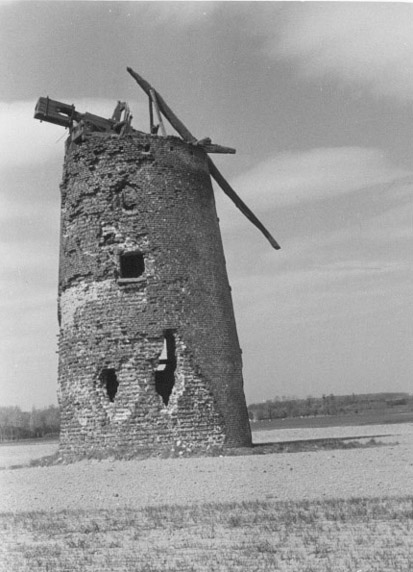 gras_1.jpg