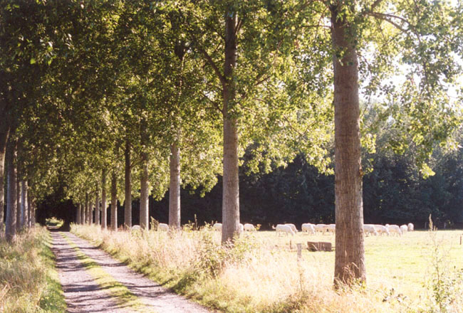 mesnil3.jpg