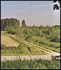 Brasmenil_chemin du Sartiau(2).jpg