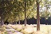 mesnil3.jpg