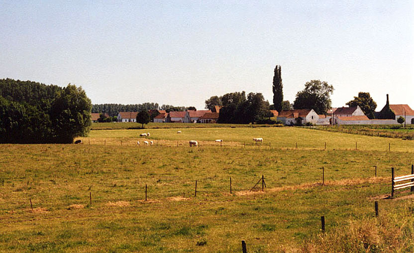brifoei1.jpg