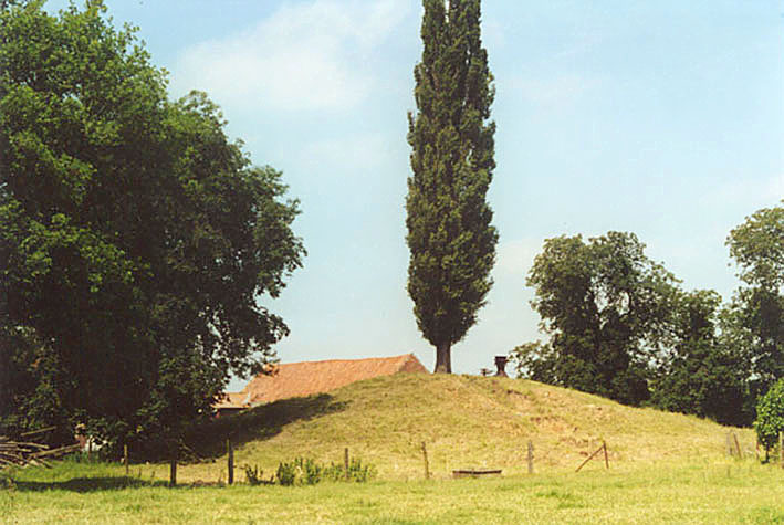 brifoei10.jpg