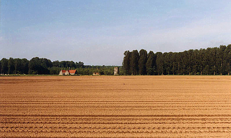 brifoei12.jpg