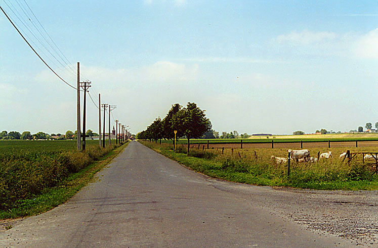 brifoei13.jpg