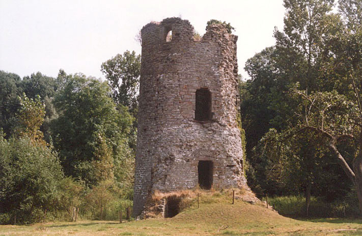 brifoei3.jpg