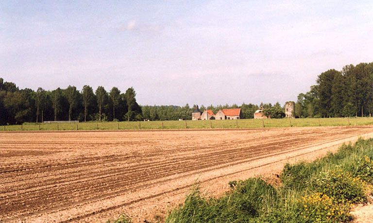 brifoei6.jpg