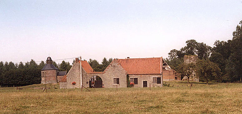 brifoei7.jpg