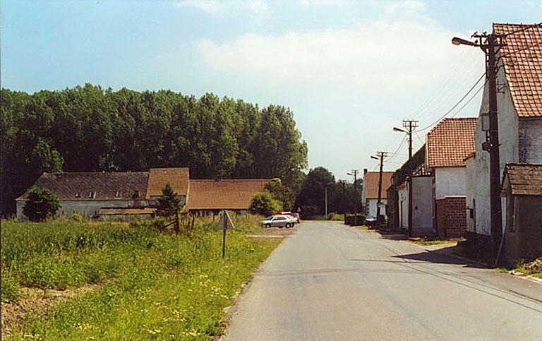 brifoei8.jpg
