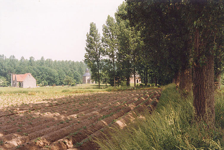 brifoei9.jpg