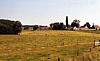 brifoei1.jpg