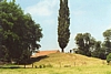 brifoei10.jpg