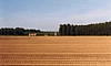 brifoei12.jpg