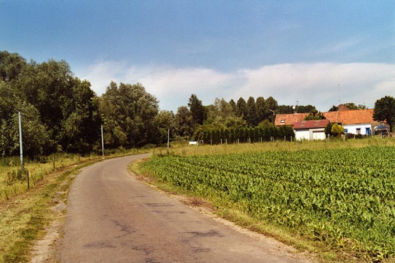 boucaud1.jpg
