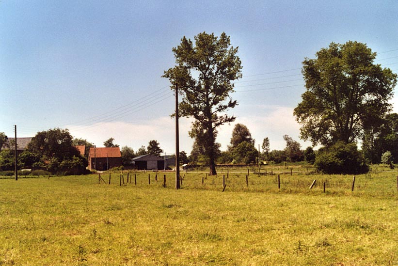 boucaud3.jpg
