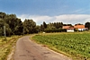 boucaud1.jpg