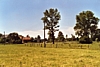boucaud3.jpg