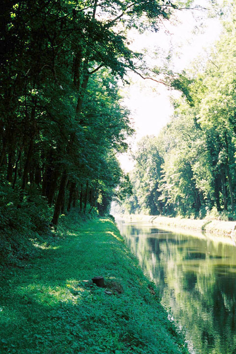 canal2.jpg