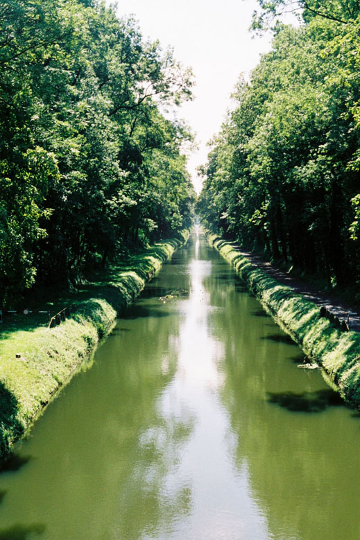 canal3.jpg