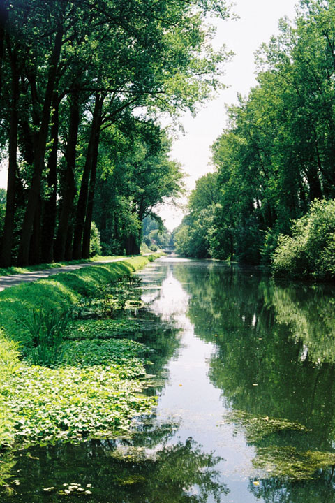 canal7.jpg