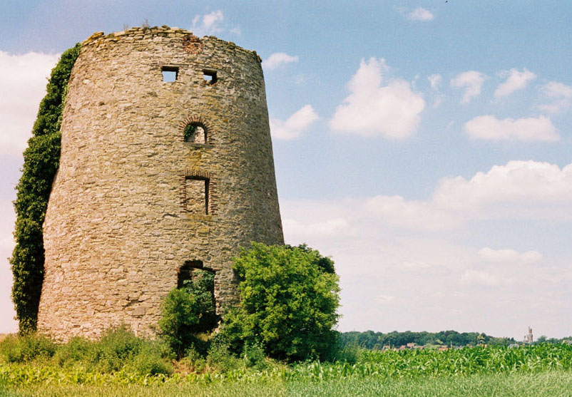 moulin5.jpg