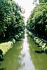 canal3.jpg